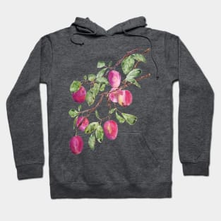 reddish purple plum branch watercolor Hoodie